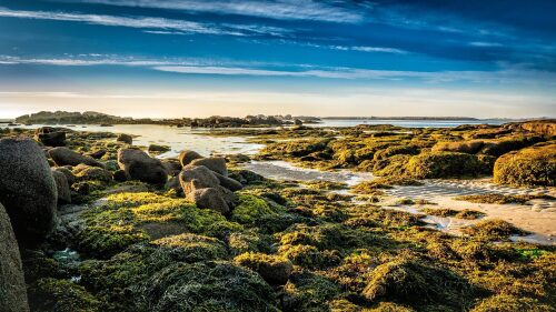 Plage