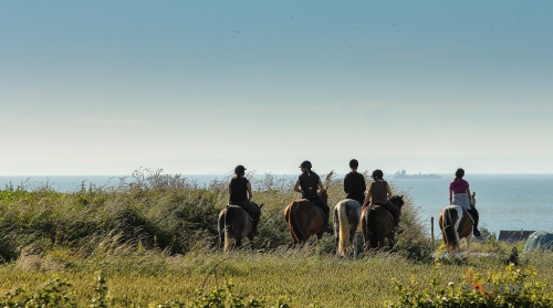 promenade en campagne avec vus sur mer pour les débutants