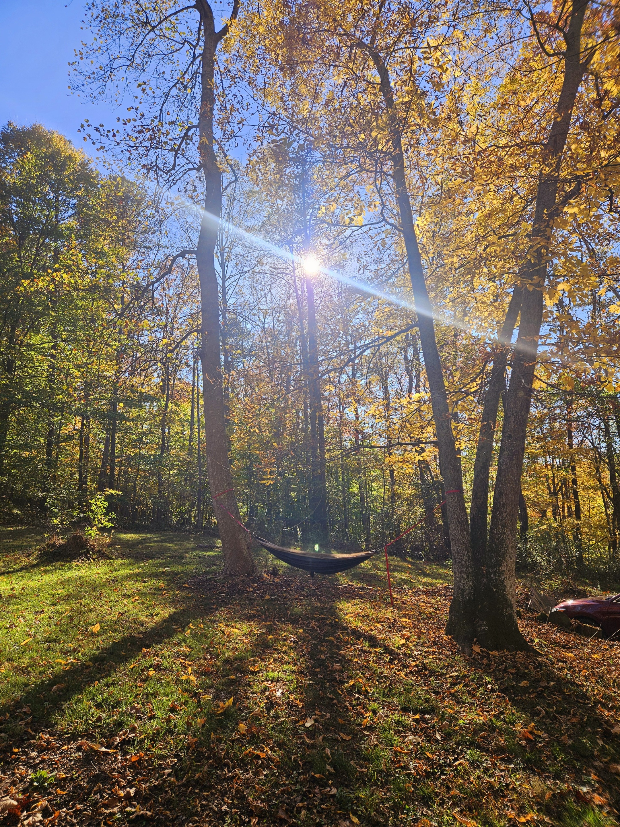Sycamore Yurt | Photo 27