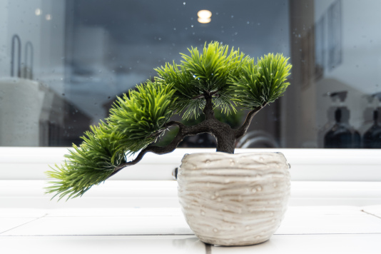 Thoughtfully chosen plants and décor throughout the home create a calm, stylish and welcoming atmosphere for every guest.