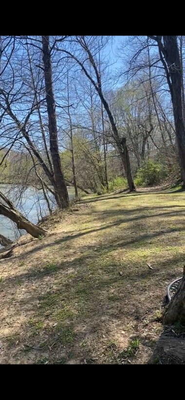This is the river on our property. You can see it from the porch. 