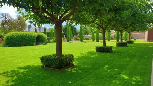 Vue du jardin depuis la terrasse