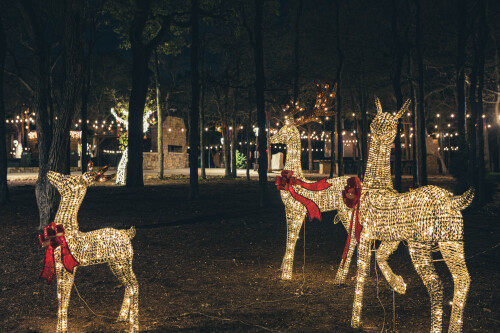 Christmas at 7744 Ranch