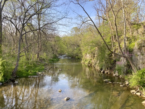 Nearby Mill Creek in spring