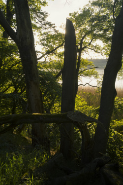 Natur