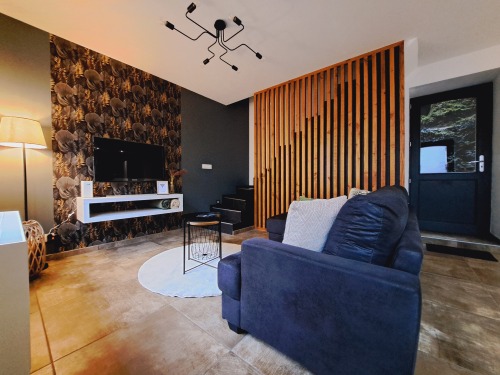 salon avec télévision