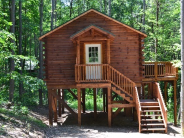 Blue Rose Cabins - Overlook Cabin - 
