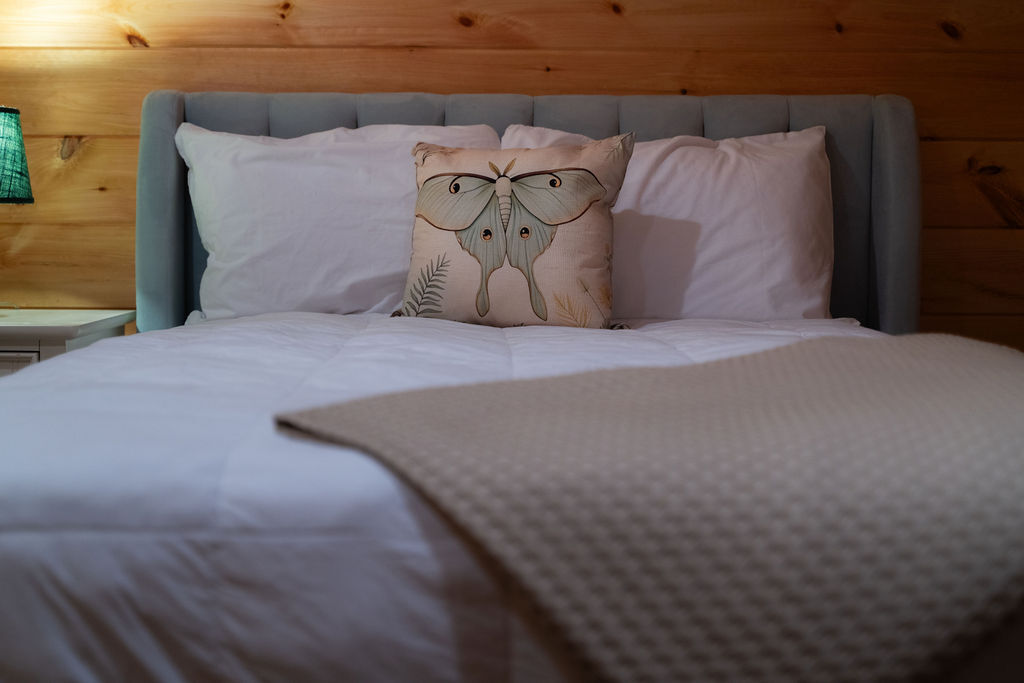 Luna Moth | Photo 41