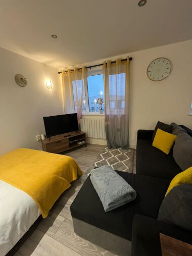 living room with sofa bed 