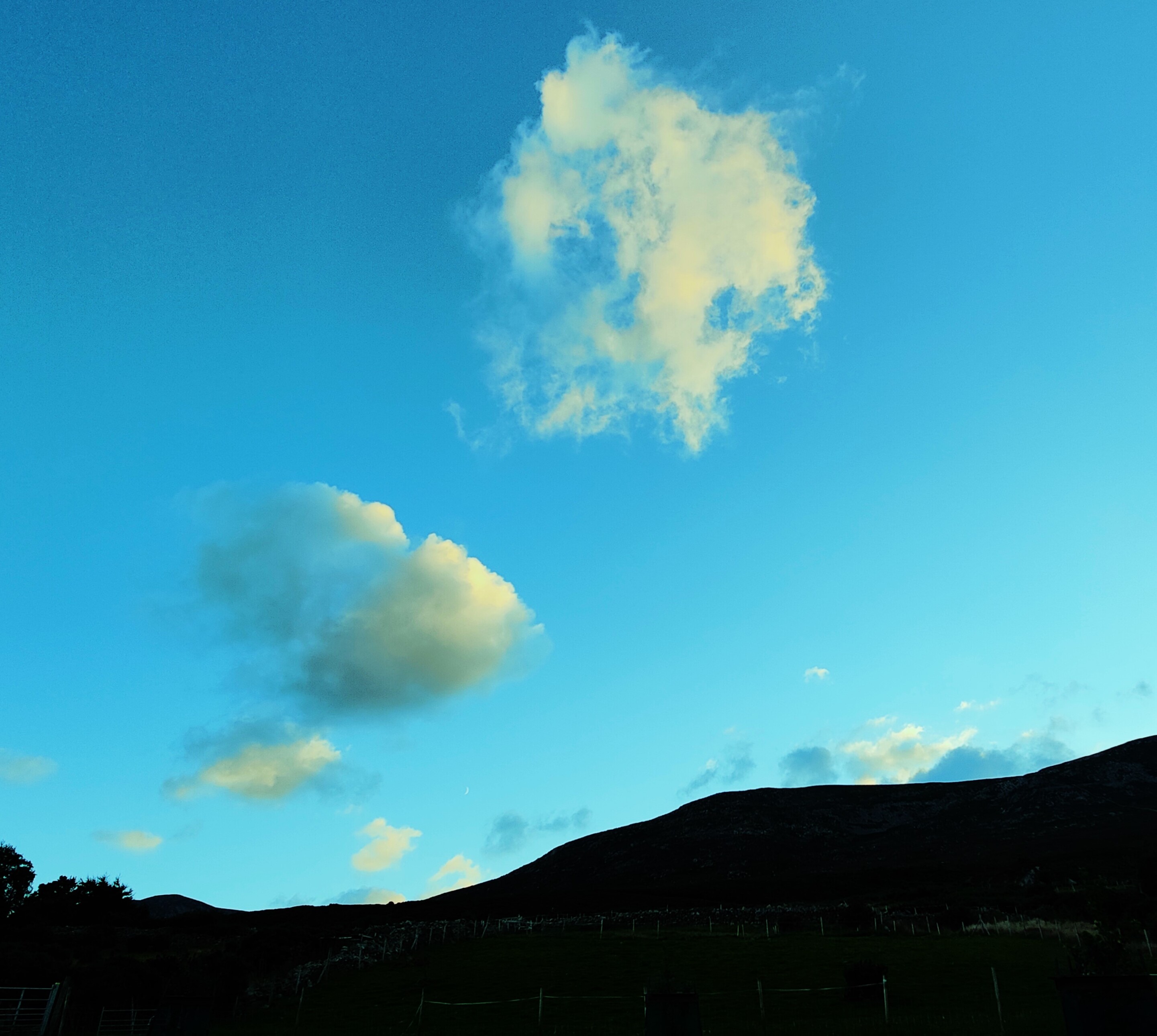 Using Photos to Find Your Story of Connection with Nature. Nick Mack