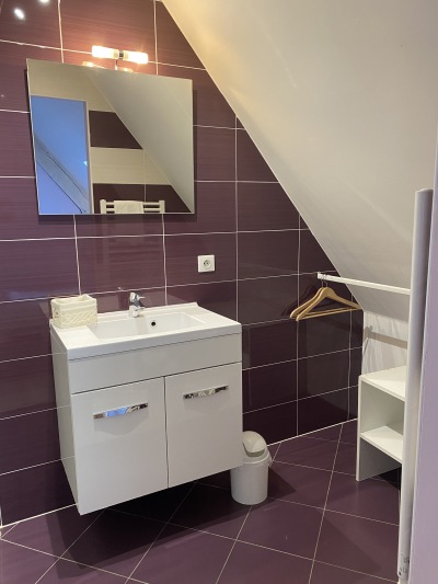 salle de bains prune