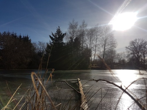 Etang