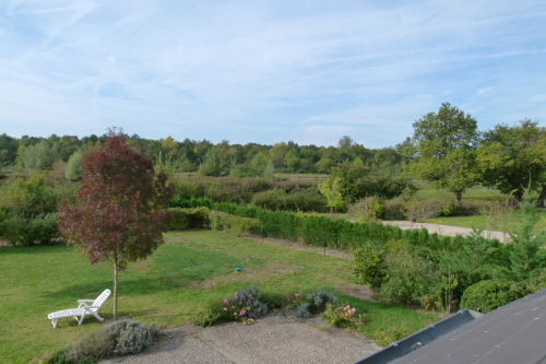 Vue sur la Sologne - La Ferme de Marpalu