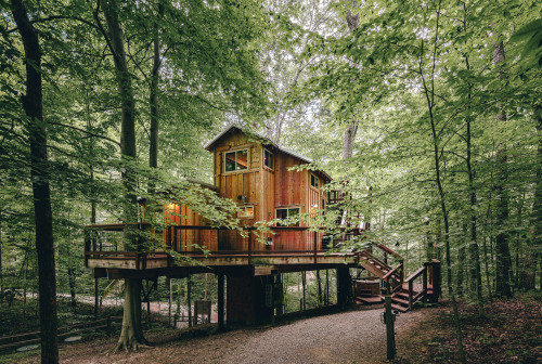 The White Oak Treehouse at Hocking Hills Treehouse Cabins  - 