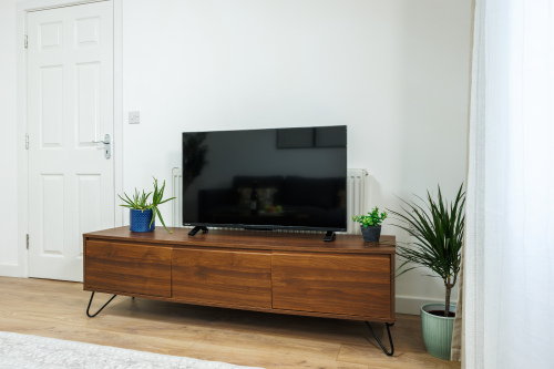 TV unit