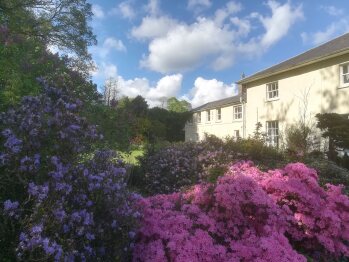 Exterior - West Wing from SW