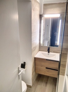 toilettes dans la salle d'eau