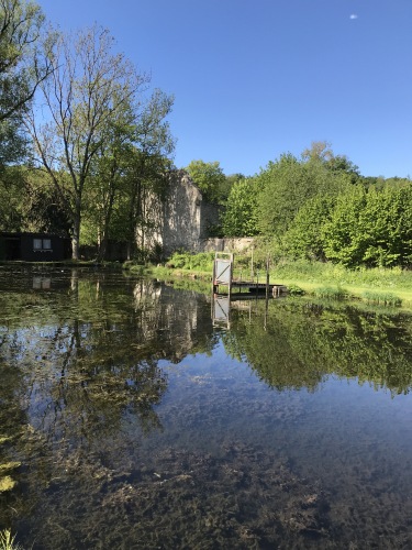 Wunderschöner Südharz - Die Fischteiche m Kloster