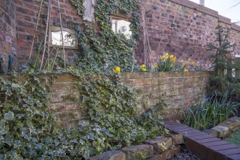 Private walled garden