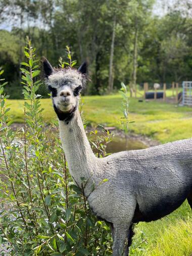 Book onto our animal tours