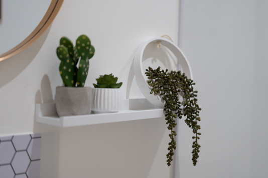 Plants