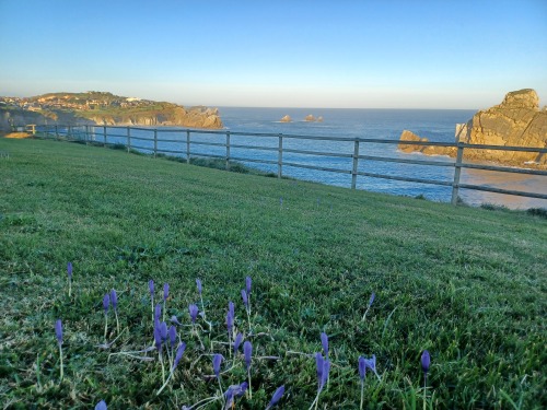Posada Venta del Mar Vistas desde la planta baja
