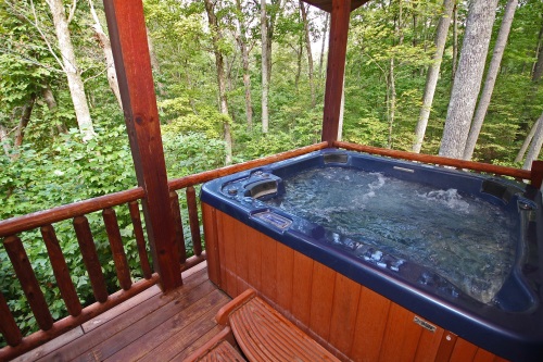 Hot Tub, on Back Deck, overlooking the forest