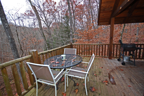 Outdoor Dining Table and Charcoal Grill, Back Deck, looking North
