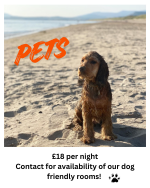 Pet friendly