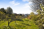 Looking back at the house from the orchard