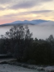 Mist in the Glen