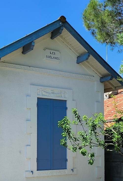 Arcachonnaise typique de la région 