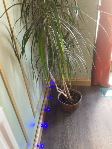 3 bedroom boutique art apartment with sea views