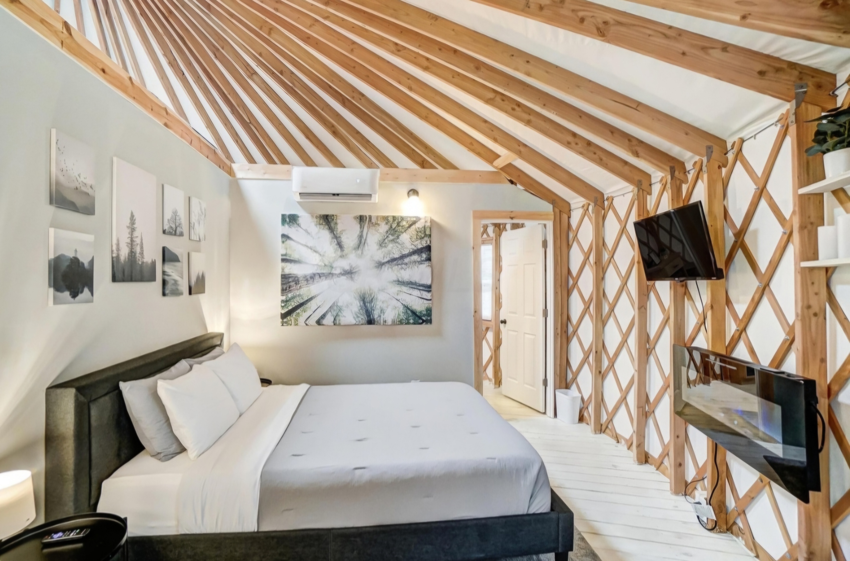 Sycamore Yurt | Photo 4