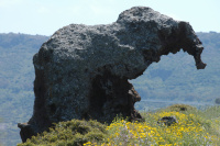 Roccia dell'Elefante