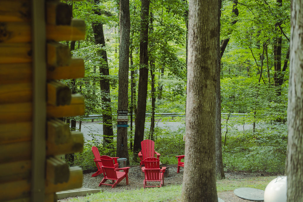 The Scarlet Fox | Photo 54