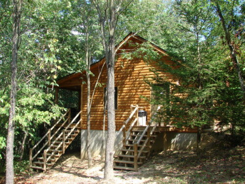 Woodlands