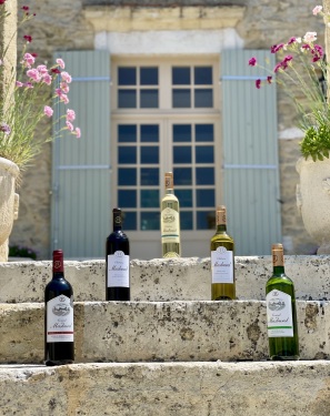 Chateau Masburel - Wine Tasting