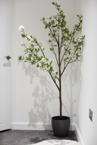 Bright and well-maintained interior offering a relaxing atmosphere.