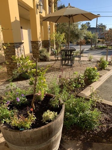 2019 Landscape in the patio area