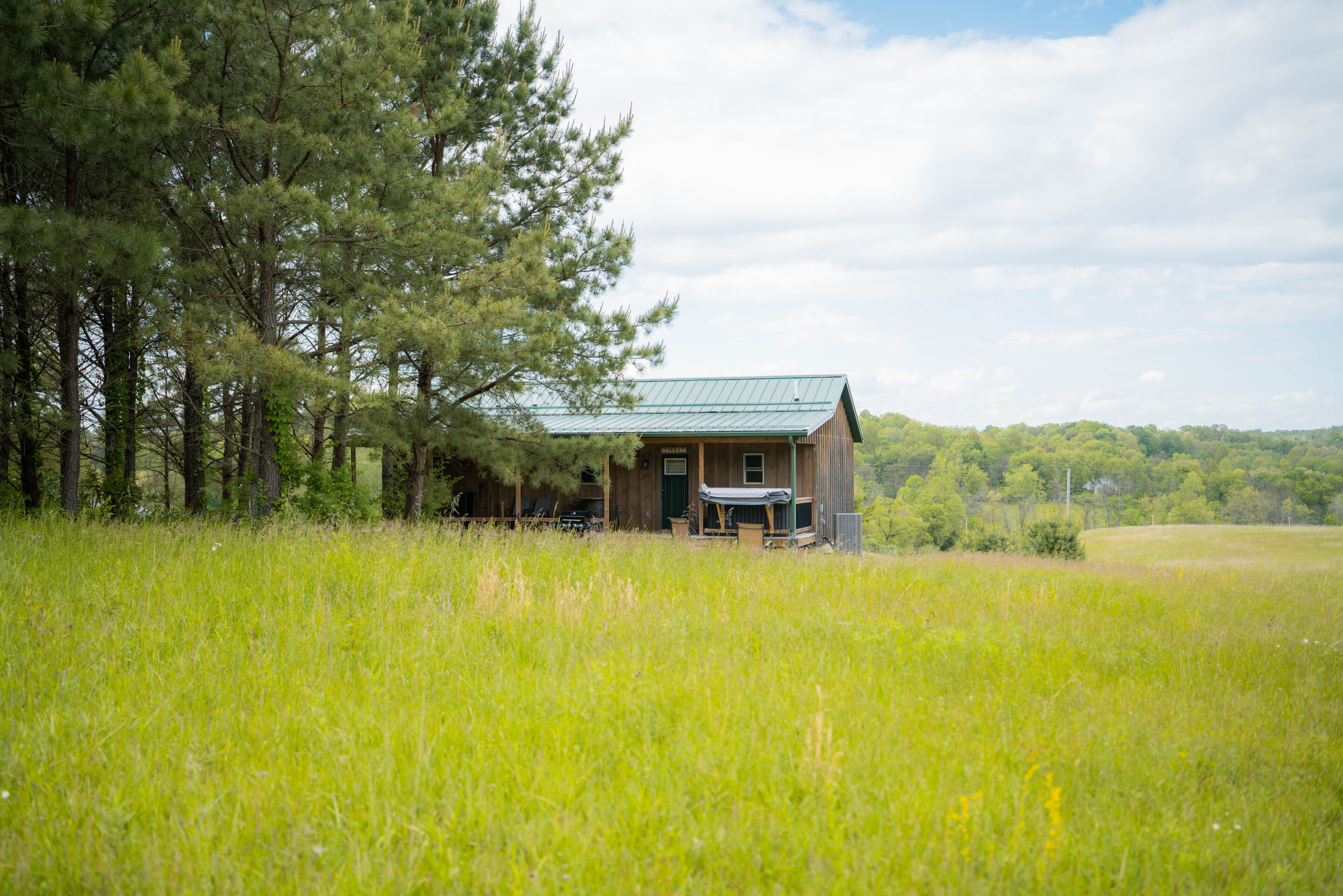 Golden Pine | Photo 29