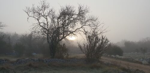 Lever de soleil à travers la brume matinale