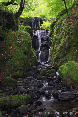 Canonteign falls local attraction