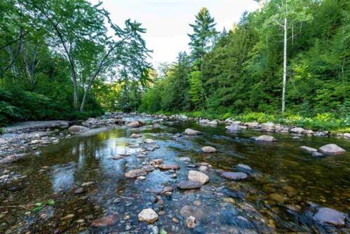 River in Back Yard