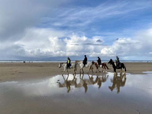 Horse Riding Perranporth Beach