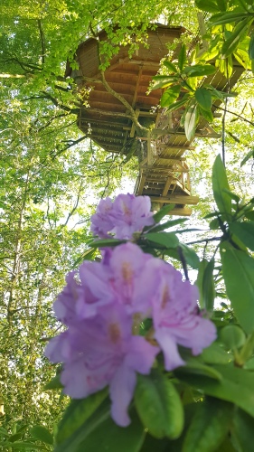 La Cabane "Haut-Perchée" à 16 m de hauteur, Espace SPA privatif inclus