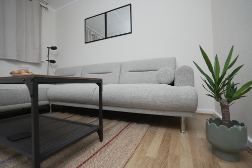 Living room coffee table plant