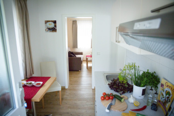Appartment Blick in Wohnbereich und Küche