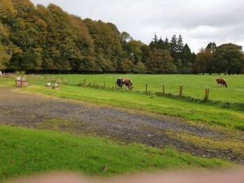 Back Garden - Grange View from Front