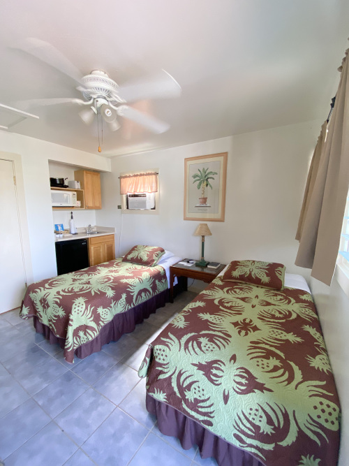 Deluxe Room with Two Twin Beds, Kitchenette and AC
